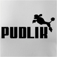 Pánske tričko PUDLIK