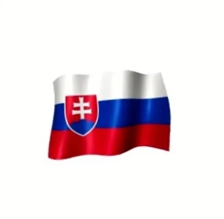 Slovenská vlajka na hokej - 90x150
