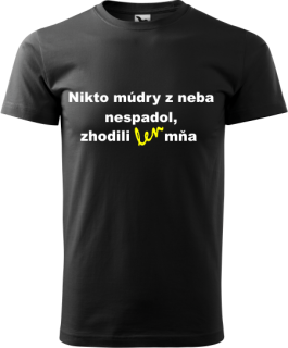 Pánske tričko Nikto z neba nespadol