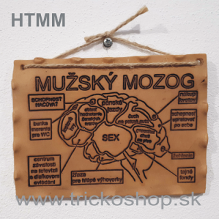 Hlinená tabuľka Mužský mozog