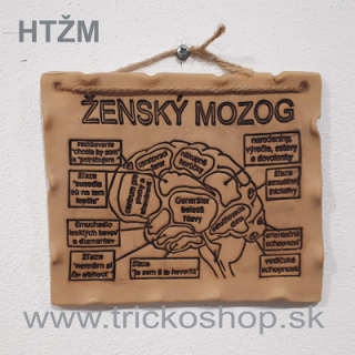 Hlinená tabuľka Ženský mozog
